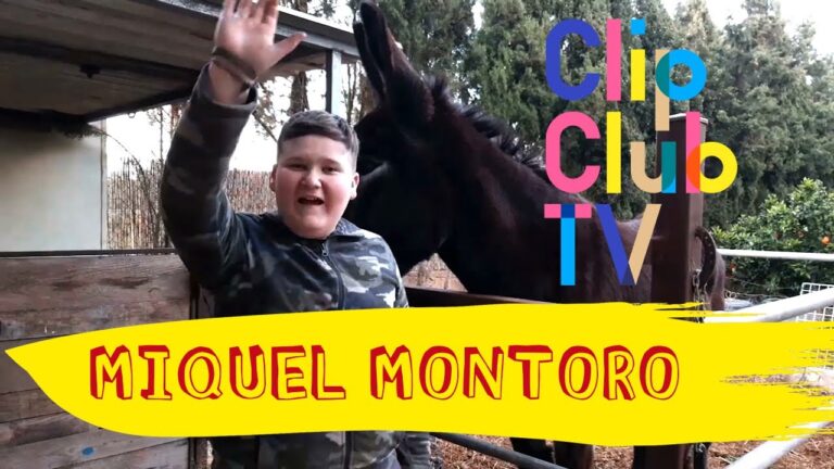 Guía de Escuelas de Cocina en Montoro