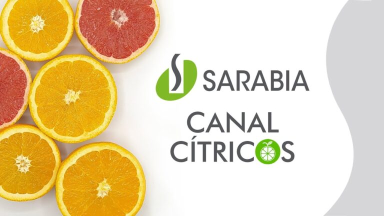 Normativas de Publicidad en Bujalance: Lo que Debes Saber