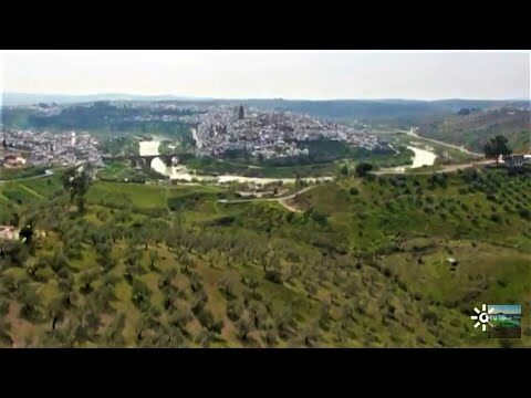 Actividades del D&iacute;a del Padre en Montoro