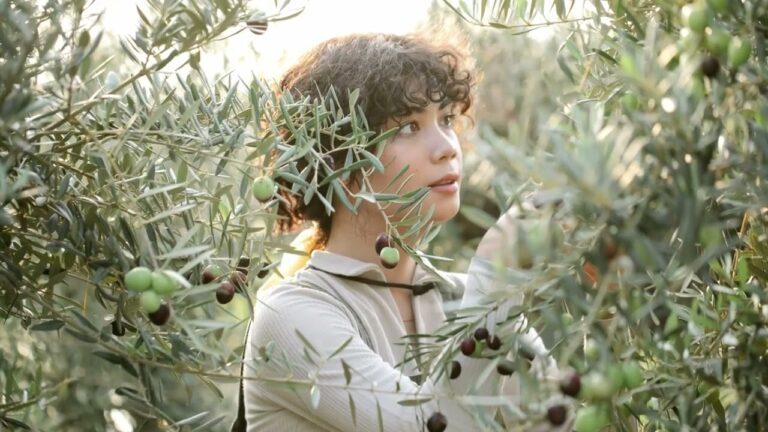 Requisitos para ser autónomo en Montoro