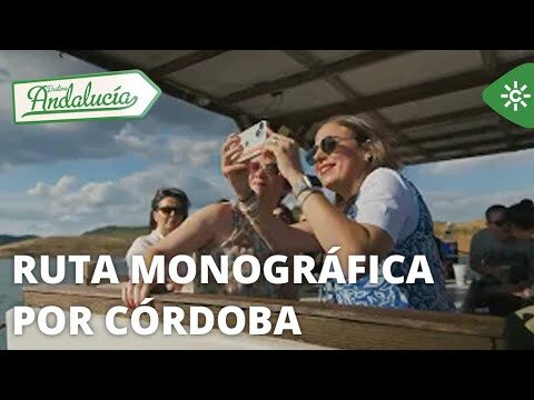 Opciones de Ocio Nocturno en Baena