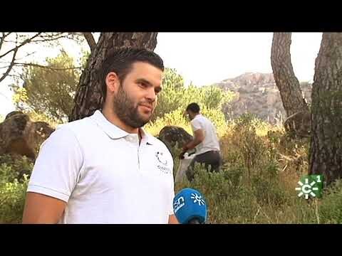 Zonas Verdes en Almod&oacute;var del R&iacute;o: Descubre sus Espacios Naturales