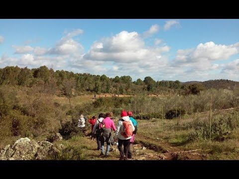 Rutas de Senderismo con Vistas en Bujalance
